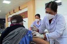 Covid-19 : le Vietnam enregistre 1.114 nouveaux cas en 24 heures