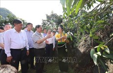 Le chef du gouvernement inspecte des ouvrages clés à Hoà Binh et Son La