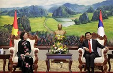 Une délégation du Parti communiste du Vietnam en visite au Laos