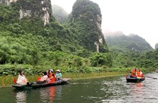 Le tourisme reprend doucement des couleurs à Ninh Binh