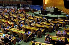 Le Vietnam s'efforce de contribuer aux activités de l'Assemblée générale des Nations Unies