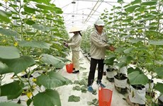 Le MADR propose de nouvelles politiques pour l’économie agricole