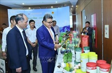 Le commerce et le tourisme offrent des opportunités de coopération Vietnam- Israël