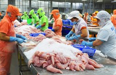 Le Vietnam a exporté 1,4 milliard de dollars de pangasius en six mois