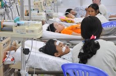 Le ministère de la Santé appelle à la vigilance face à la flambée de la dengue