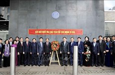 Promotion du rôle du réseau d'amitié Vietnam-Royaume-Uni