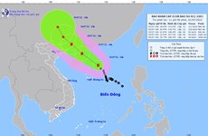 Le PM appelle à renforcer les mesures contre le typhon Chaba