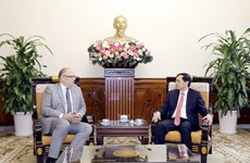 Le ministre des Affaires étrangères Bùi Thanh Son reçoit l'ambassadeur du Danemark au Vietnam
