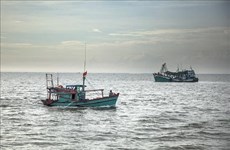 Le Vietnam prêt à coopérer et à partager son expérience dans la lutte contre la pêche illégale