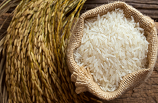 Le prix à l’export du riz vietnamien en tête dans le monde 