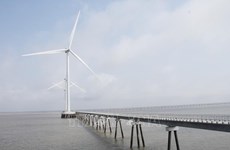 Promouvoir l'exploitation du potentiel de l’éolien offshore au Vietnam