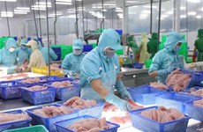 Les pangasius et les crevettes vietnamiens s’exportent bien en Chine