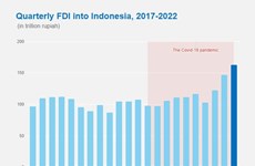 Les IDE en Indonésie accélèrent pour atteindre un nouveau record au 2e trimestre