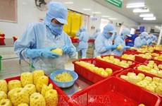 Le Vietnam vise le top 10 mondial de la transformation agricole