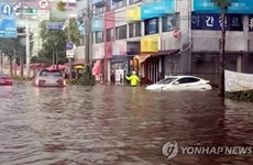 Graves inondations : message de sympathie à la République de Corée