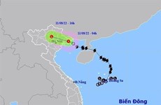 Le typhon Mulan s’est affaibli en une dépression tropicale