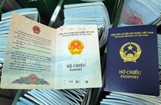 L'Allemagne va reprendre la délivrance de visas pour les nouveaux passeports vietnamiens