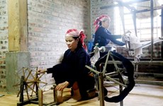 Les femmes de l’ethnie Tày perdurent le métier de tissage de brocart