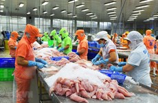 Le Mexique, destination phare pour les exportations de poisson tra du Vietnam