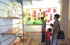 Musée de la nature du Vietnam, source de découvertes majeures en histoire naturelle