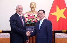 Resserrement des relations politiques spéciales et de coopération intégrale Vietnam-Cuba