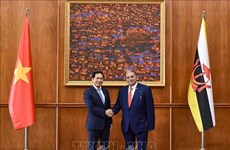 Le Vietnam et le Brunei s’engagent à promouvoir leur partenariat intégral