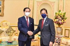 Le sultan du Brunei attache de l’importance aux liens avec le Vietnam