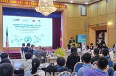 Promotion des liens entre les entreprises agricoles vietnamiennes et irlandaises