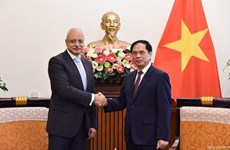 Promouvoir davantage la coopération multiforme Vietnam-Égypte