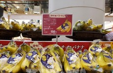 Les bananes du Vietnam de plus en plus prisées au Japon