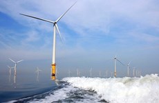 Une société française veut investir dans un projet éolien de 13 milliards de dollars à Ba Ria - Vung Tau