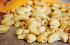 Les exportations de noix de cajou du Vietnam font face à une forte concurrence