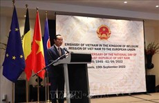 Les relations de coopération entre le Vietnam et l'UE et la Belgique au beau fixe 