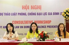 Le projet de loi sur la violence domestique (amendée) discuté à Khanh Hoa