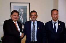 L'Indonésie et l'Afrique du Sud recherchent des opportunités de coopération