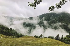 Homestay chez les Dao Tiên dans les montagnes de Hoài Khao à Cao Bang