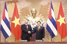 Le Vietnam prend en haute considération les relations d’amitié avec Cuba