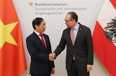 Le ministre des Affaires étrangères Bui Thanh Son en visite officielle en Autriche