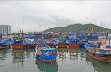 Khanh Hoa accélère ses efforts de lutter contre la pêche INN