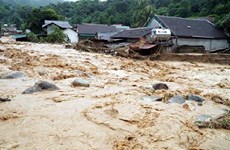 Des crues font huit morts dans les provinces de Nghe An et Ha Tinh