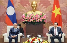 Promotion des relations d’amitié traditionnelles Vietnam-Laos