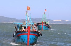 Binh Thuân veille à ses ressources halieutiques et lutte contre la pêche INN