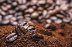 Plus de 3 milliards d’USD d'exportations de café en 9 mois