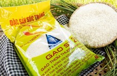 Le riz vietnamien à la conquête du marché international