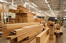 Les exportations de bois atteindront-elles l'objectif de 16,5 milliards d’USD cette année ?