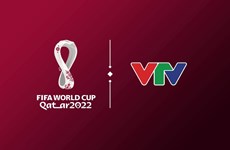 Coupe du monde 2022 : VTV détient officiellement les droits d'auteur des médias 