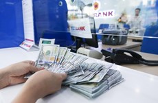 Diaspora: Près de 4,8 milliard de dollars de devises transférées à HCM-Ville en 9 mois 