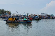 Le Vietnam renforce les contrôles des bateaux pour empêcher la pêche illégale