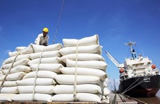 Le conflit en Ukraine n’affecte pas les exportations de riz du Vietnam