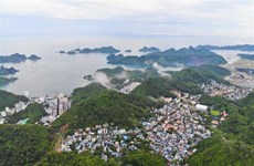 Hai Phong : gestion, conservation et développement de la réserve de biosphère 